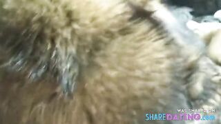 Racoon fur blowjob