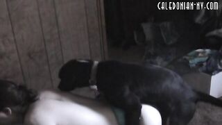 Dogs Fuck Her Ass And Pussy