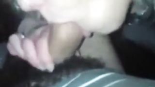 French hooker blowjob 2