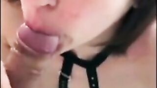 Webslut Sophie's BJ: Exposed Amateur