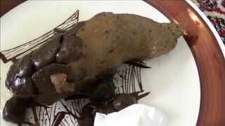 bizarropornos.com - Poop on a Plate